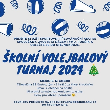 Alternativní popis - Školní volejbalový turnaj 2024